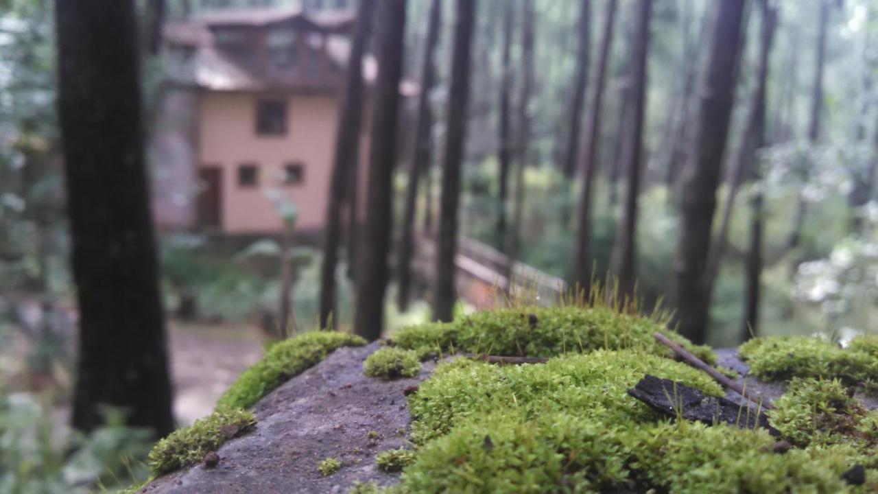 Cabana Rustica A 1Km De Cascada Mazamitla Eksteriør billede