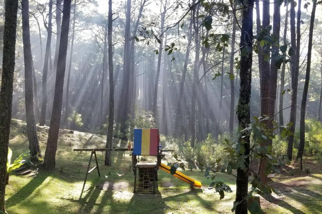 Cabana Rustica A 1Km De Cascada Mazamitla Eksteriør billede