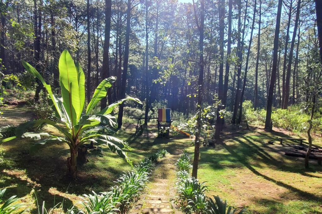 Cabana Rustica A 1Km De Cascada Mazamitla Eksteriør billede
